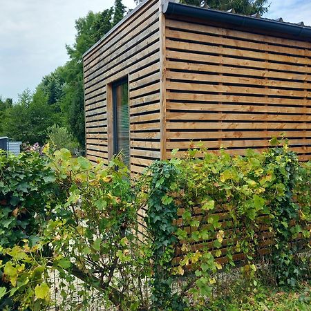 Lodge Au Vent Savigne-l'Eveque Extérieur photo